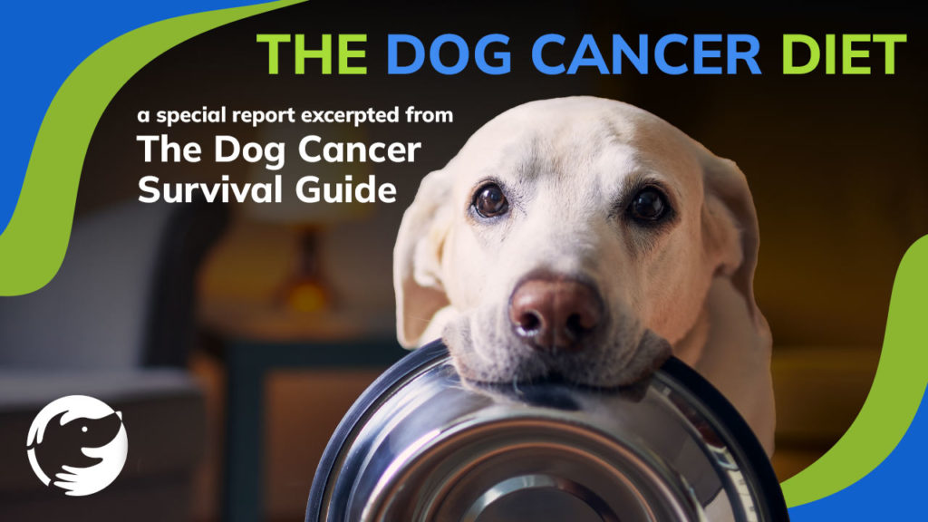 Diet And Lifestyle Boosts DogCancer