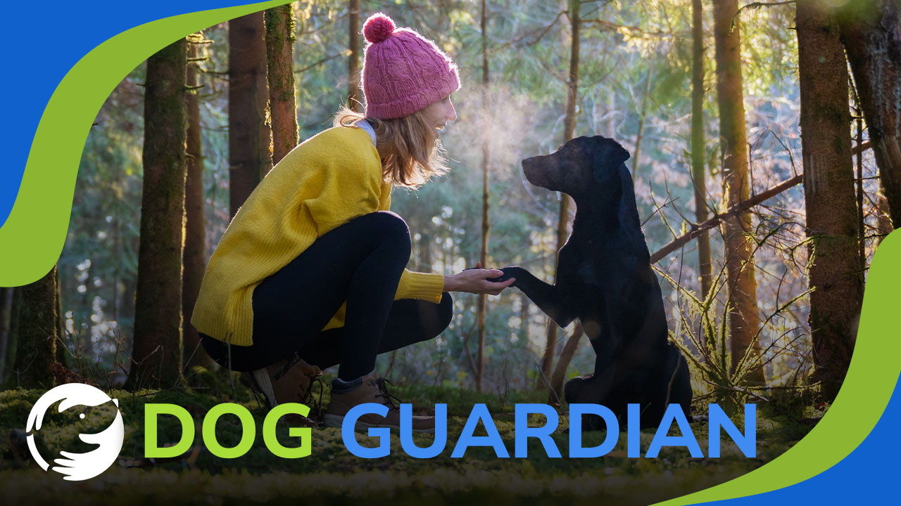 Are You a Dog Lover or Dog Guardian Helping Your Dog Survive Cancer