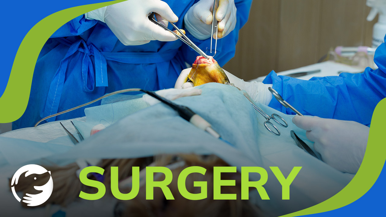 When is Surgery a Good Option