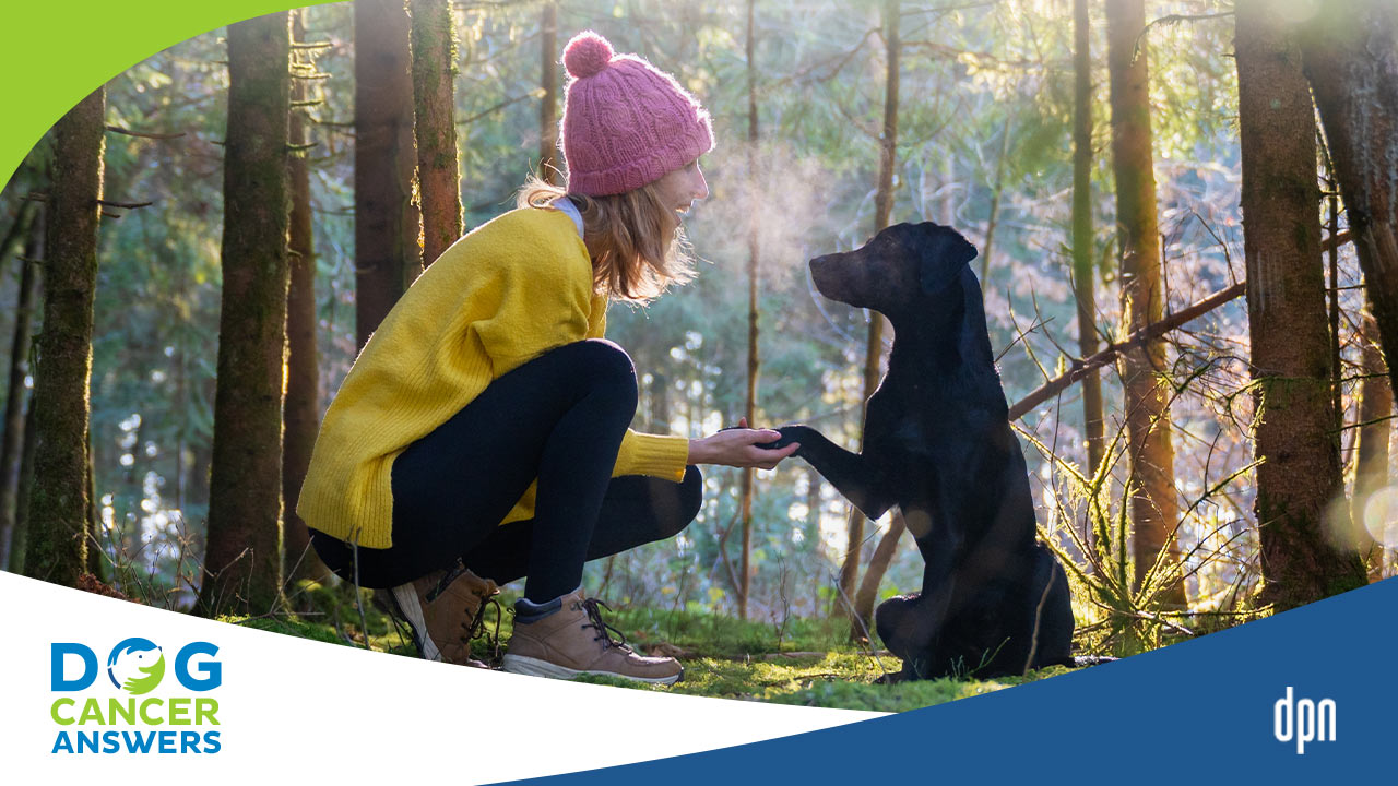 Dog Lover or Dog Guardian?