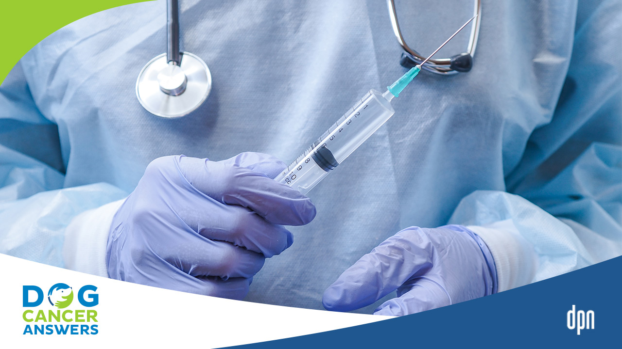 Diagnosing Dog Cancer with a Biopsy or Fine Needle Aspirate