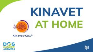 Kinavet-CA1 What You Should Know