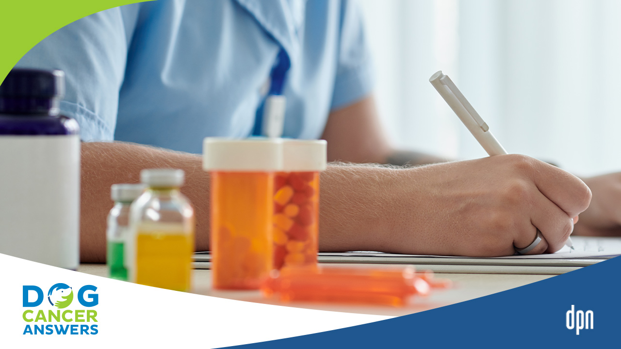 Metronomic Chemotherapy for Dogs