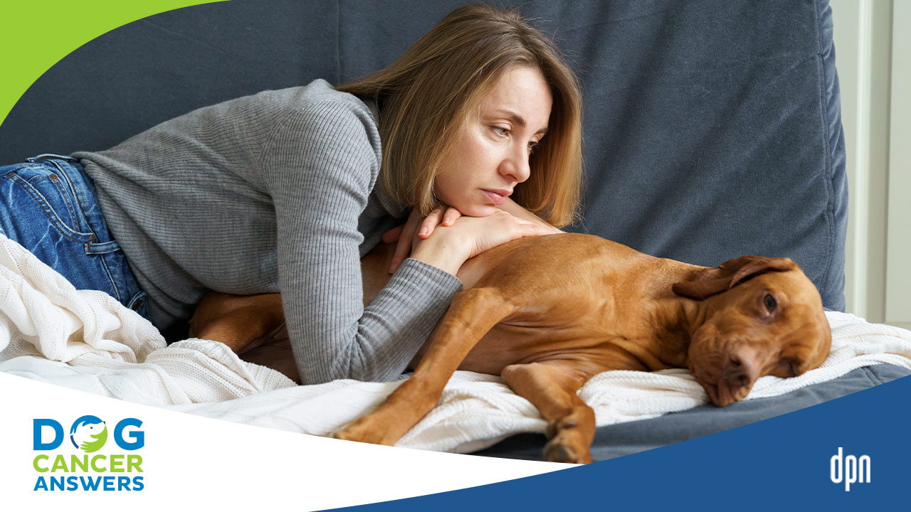 End of Life for Dogs How to Know When to Euthanize │ Dr. Demian Dressler Q&A