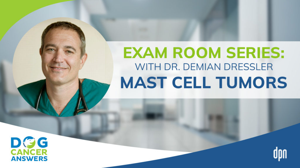 Exam Room Series - Mast Cell Tumors