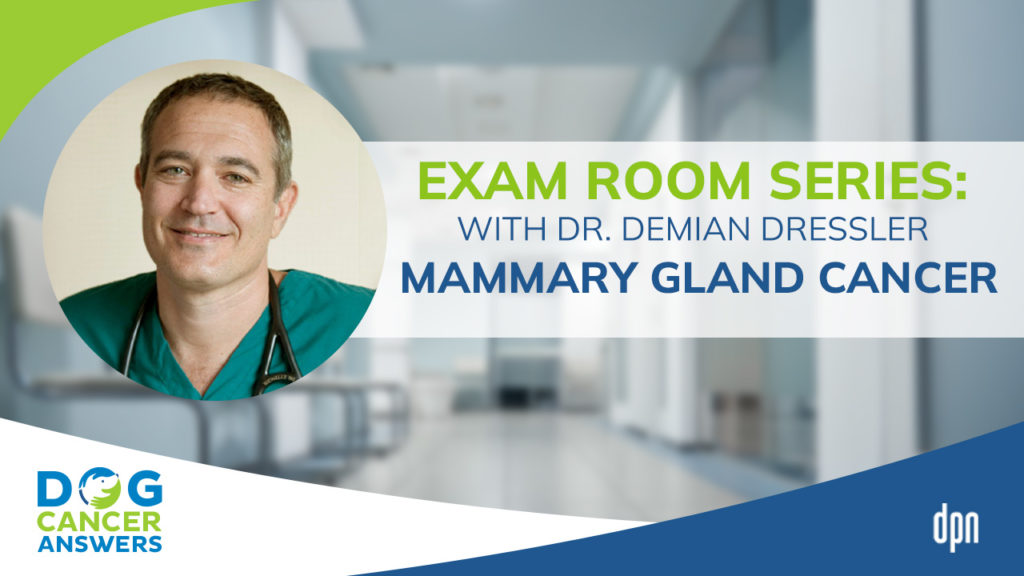Exam Room Series -  Mammary Gland Cancer