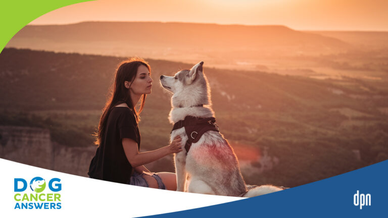 Coping When Your Dog Has Cancer: Finding Strength and Hope