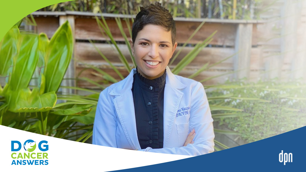 Cannabis to Help Dogs with Cancer A Veterinary Oncologist Perspective