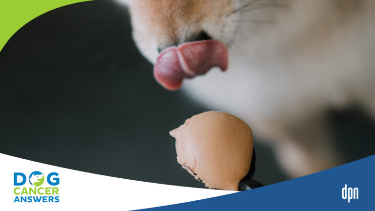 Is Peanut Butter Bad for Dogs