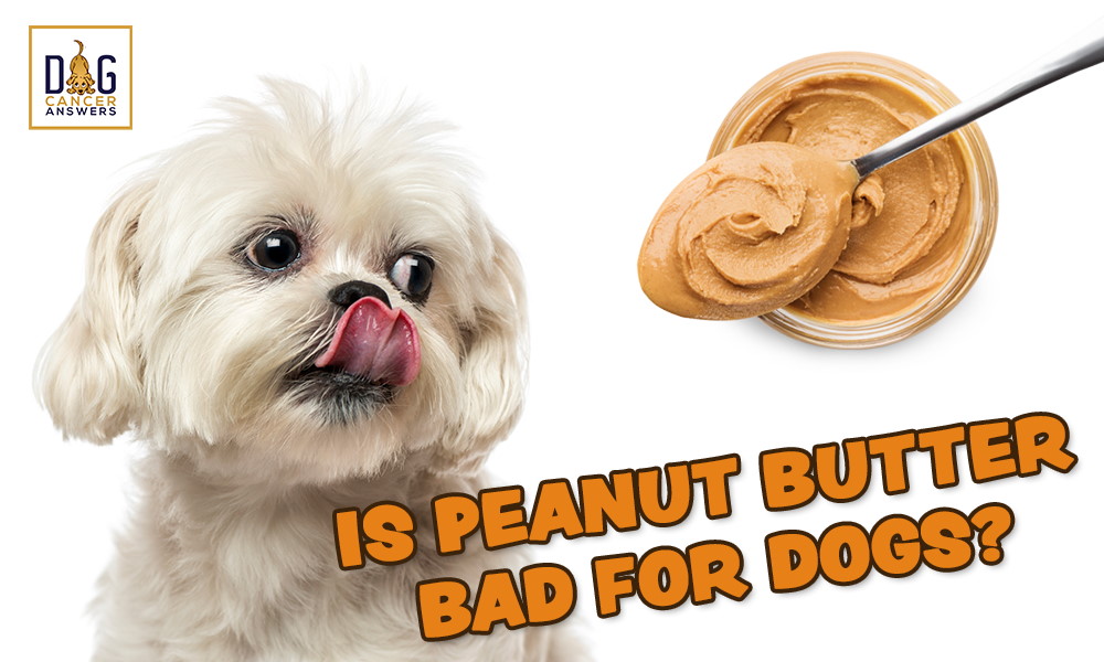Is Peanut Butter Bad for Dogs?