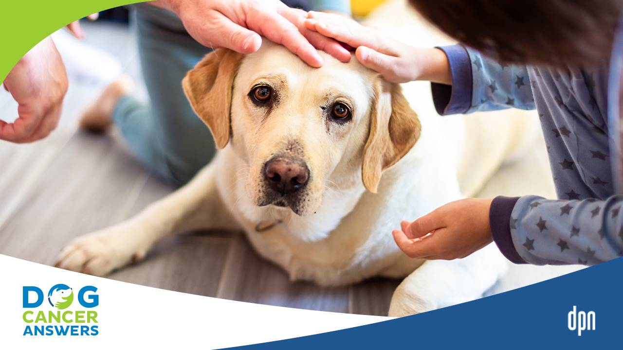 How to Cope and Prepare for Your Dog’s Death