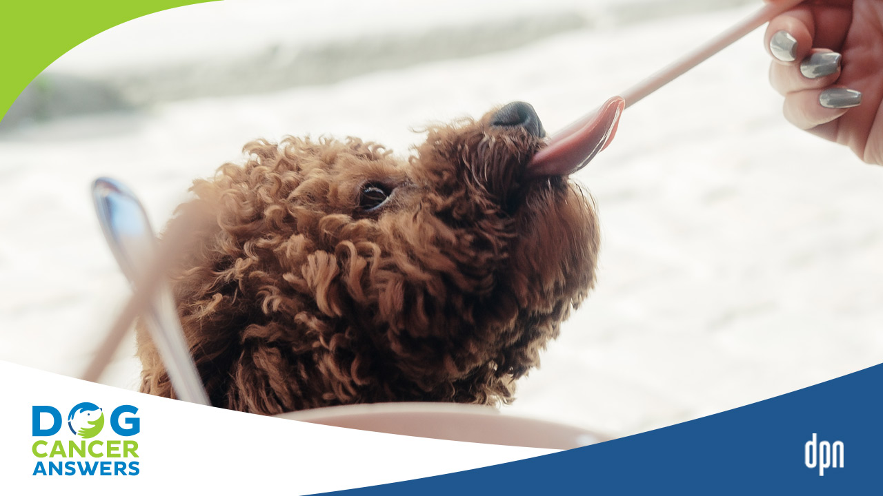 Artemisinin for Dogs with Cancer Dr. Nancy Reese Deep Dive