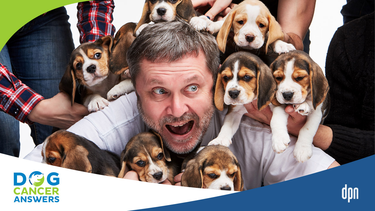 How to Choose a Dog Breeder Dr. Jerry Klein, DVM Deep Dive