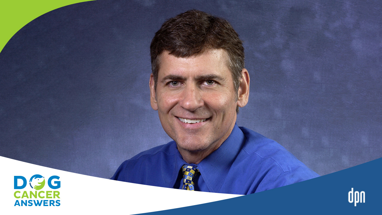 Bone Marrow Transplant for Dogs