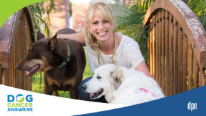 Providing the Best Care for Senior Dogs with Dr. Mary Gardner