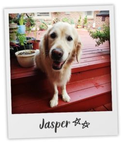 Abby Crownshaw_Heart Dog_Jasper_pol