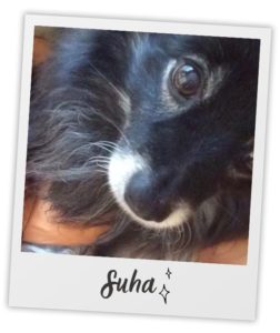 Jacqueline Ruskin_Heart Dog_Suha_pol Jacqueline Ruskin_Heart Dog_Suha_pol