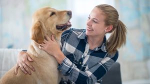 A photo of a happy dog and dog owner