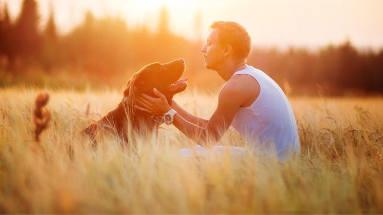 Man holding his dog sitting on tall grass