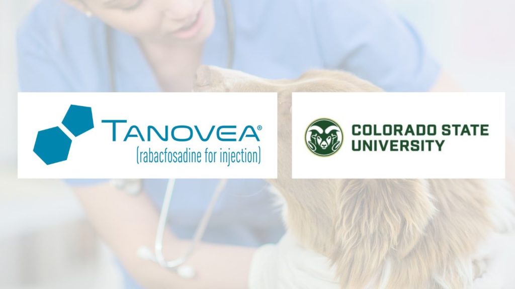 T-CHOP Naïve Canine Lymphoma Study at CSU