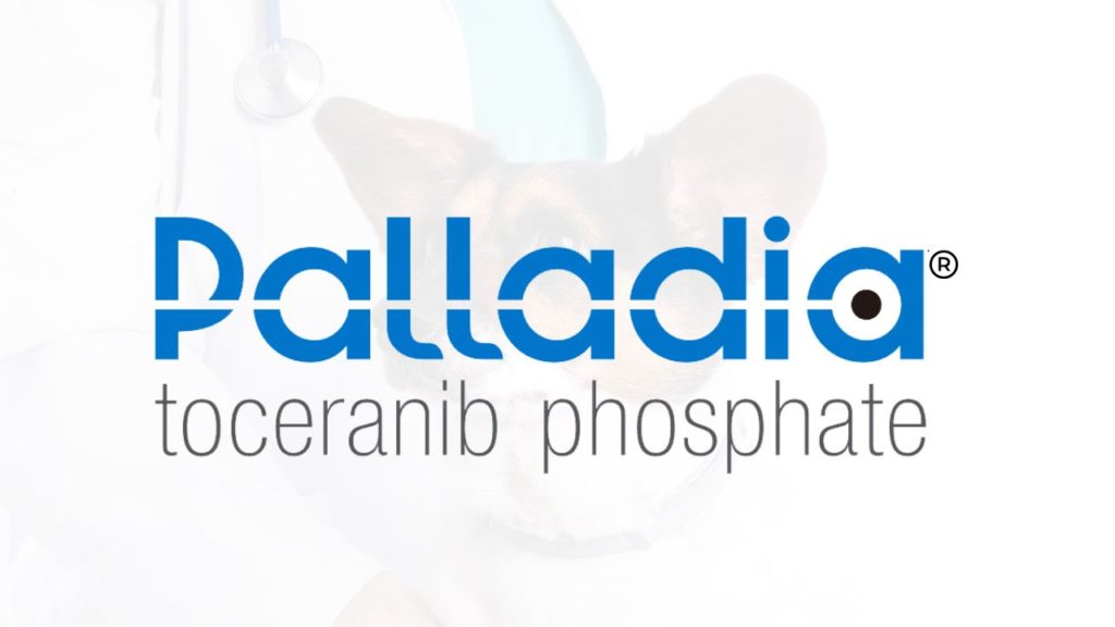 Palladia for Dogs (toceranib phosphate)