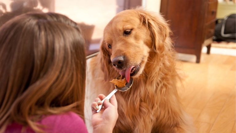 Is Peanut Butter Bad for Dogs