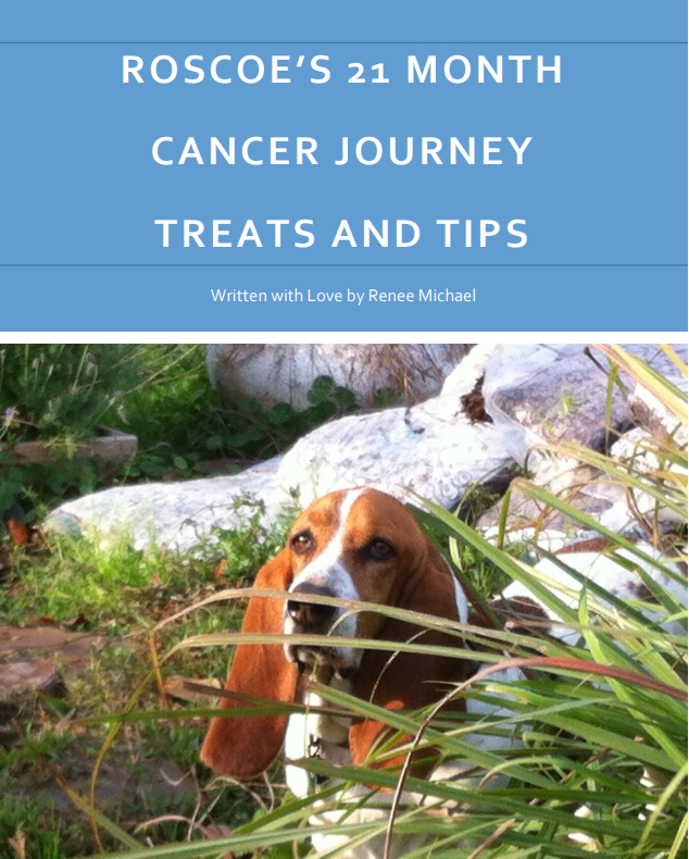 Roscoe-21-Month-Cancer-Journey