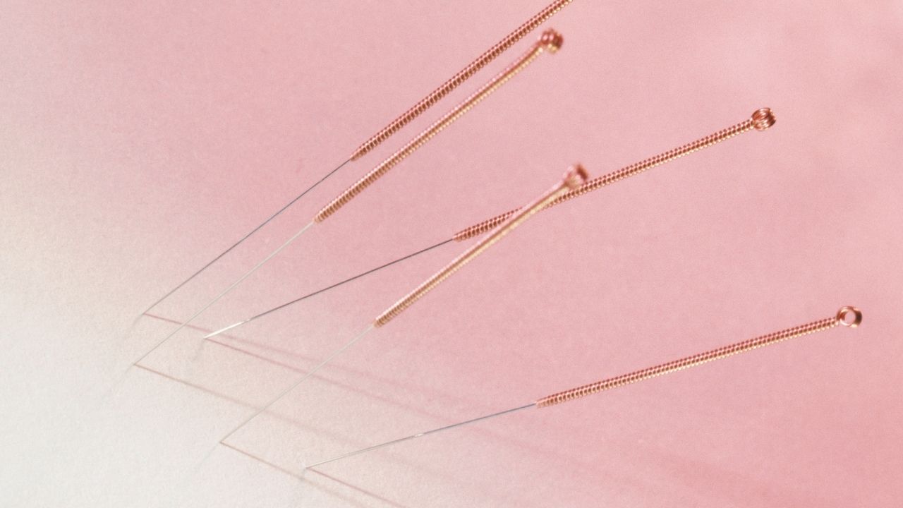 Acupuncture for Dogs