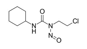 Lomustine for Dogs