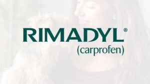 Rimadyl for dogs (carprofen) can be very supportive depending upon your dog's situation.