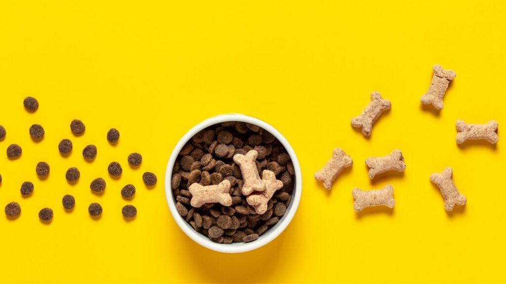 Commercial dog food can be healthy for dogs, with reservations.