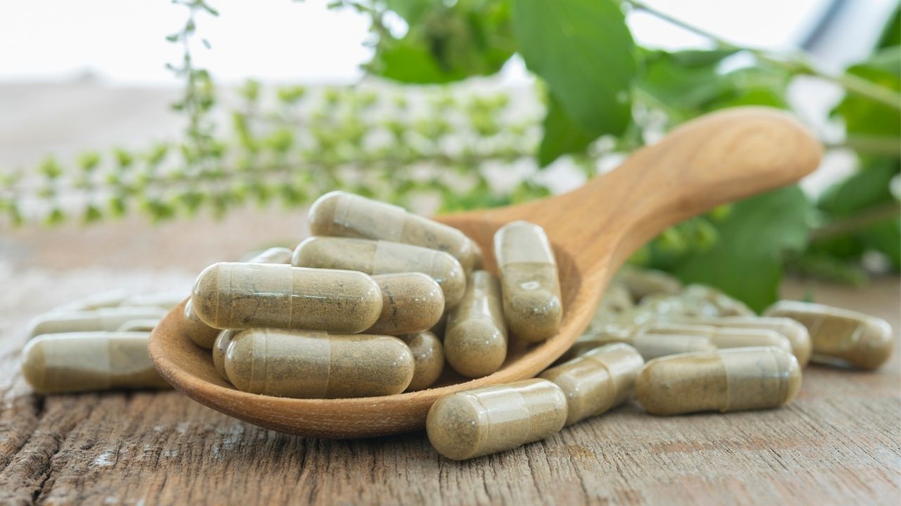 Digestive Enzymes for Dogs