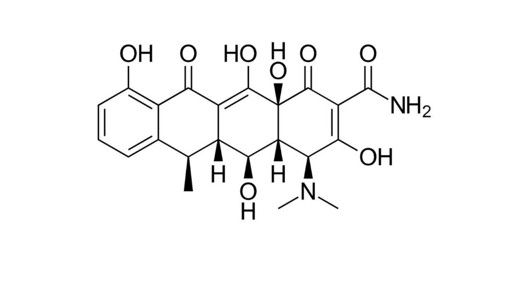 doxycycline for dogs is an antibiotic that is sometimes used for its anti-cancer benefits.