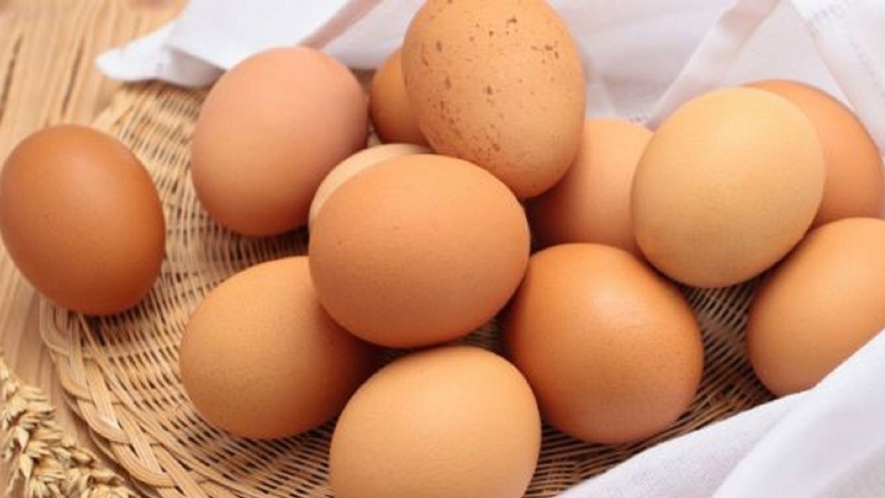 Are Eggs Good for Dogs?