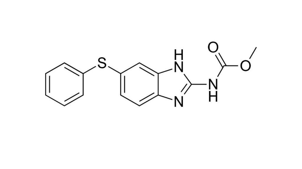 Fenbendazole for dogs is a dewormer that is being investigated for repurpose as a chemotherapy.