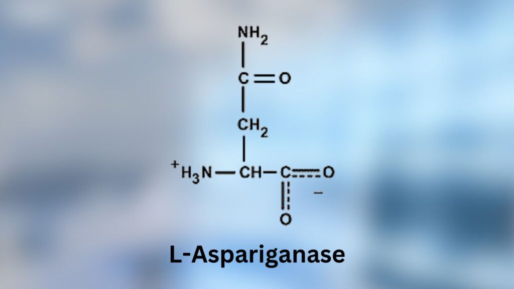 Elspar for dogs with lymphoma is a drug commonly used as a rescue protocol.