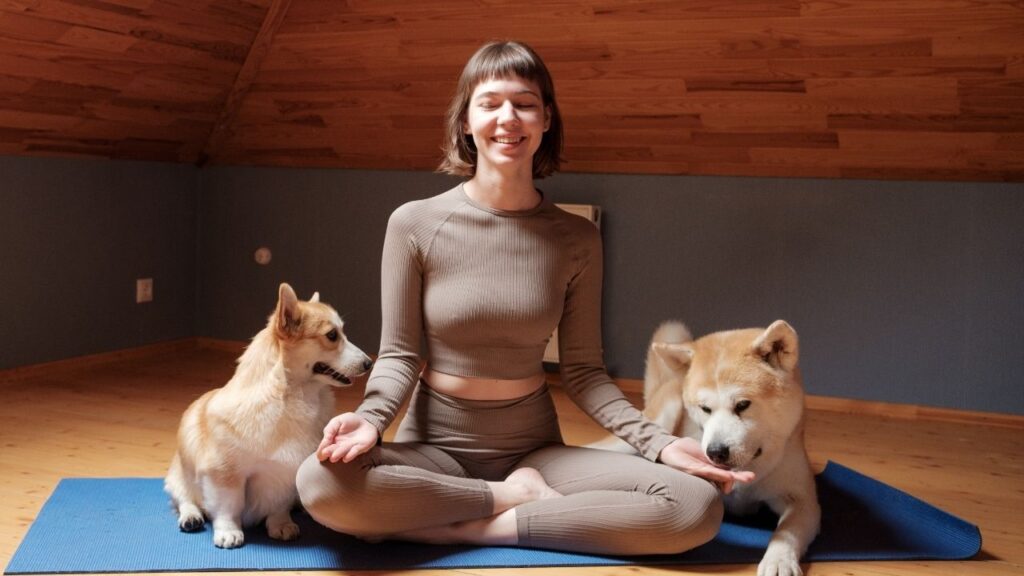 Meditation for dogs isn't weird -- it's leveraging their instincts!