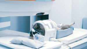 If your dog has cancer your veterinarian may want to use MRI.