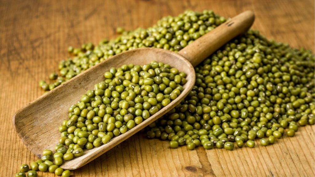 You can use mung beans for dogs with cancer as a great immune boosting food.