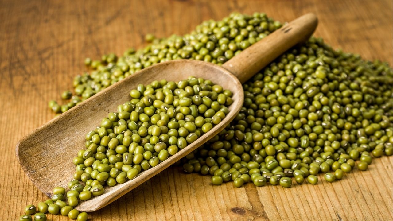 Mung Beans for Dogs