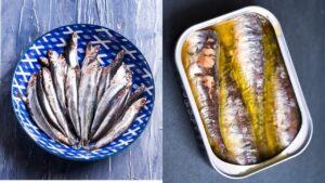 Veterinarians recommend sardines for dogs with cancer for many healthy reasons, but also because they are delicious.