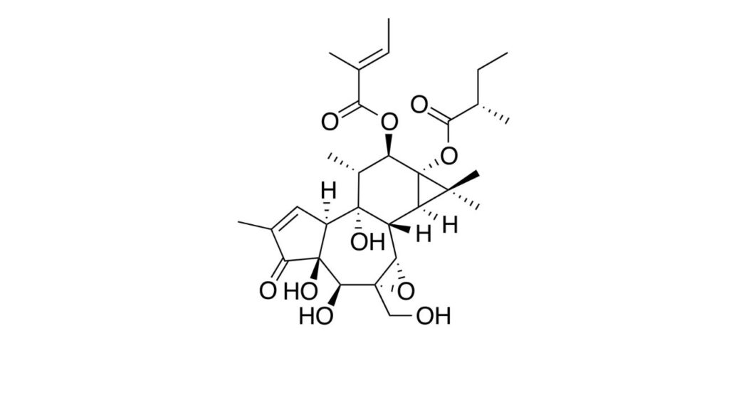 Tigilanol Tiglate - Stelfonta