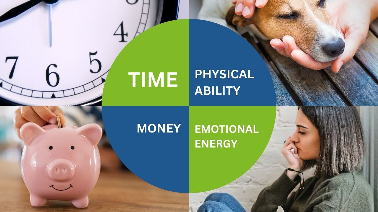 The Cost of Dog Cancer The Four Budgets