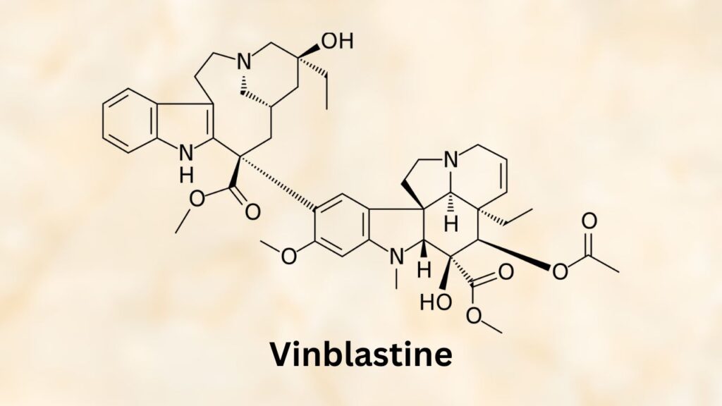 Veterinarians may use vinblastine for dogs with cancer, depending upon the case and the protocol chosen.