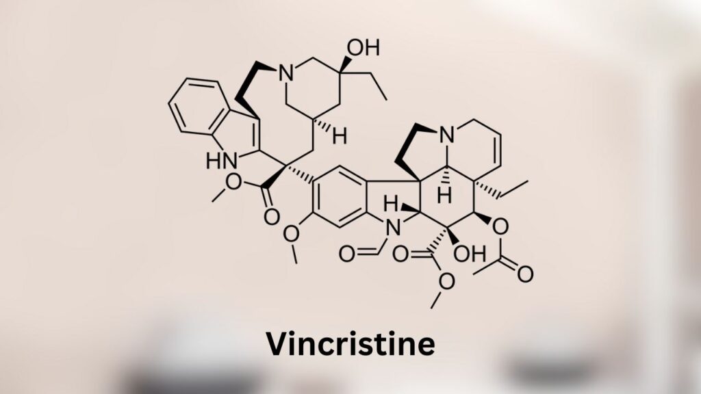 Vincristine for Dogs