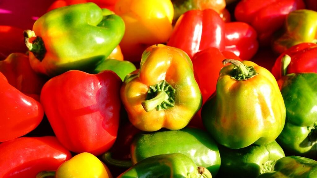 Providing bell peppers for dogs with cancer is a great idea. They're packed with antioxidants and even have anti-cancer properties.