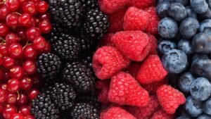 Berries for dogs with cancer is a wonderful way to pack in nutrition.