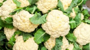 Cruciferous veggies like cauliflower for dogs with cancer are packed with potent cancer-fighting properties.