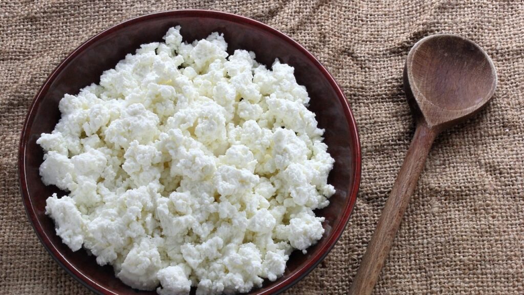 Feeding cottage cheese for dogs with cancer is a tasty way to boost minerals like calcium.