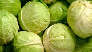 Cruciferous vegetables like cabbage for dogs with cancer is a great idea.
